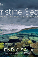 Profundezas Intocadas (Pristine Seas Cape Horn)