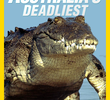 Australia's Deadliest