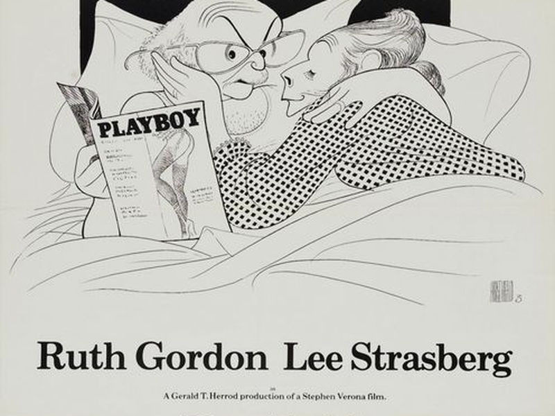 Foto 2 de Flores e Espinhos