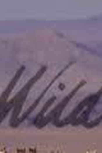 Poster de Filme Wild Horses  (1998)