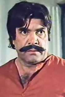 Sultan Rahi - Poster 1