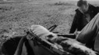 Trailer: They Live By Night (1949)
