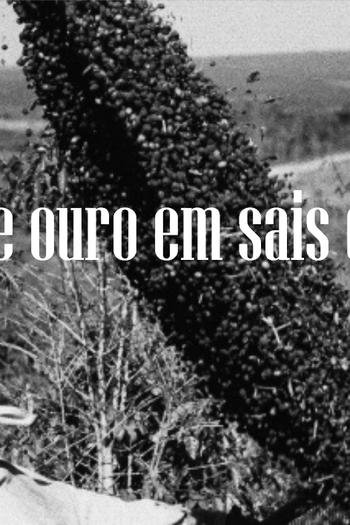 Poster de Filme Grãos de ouro em sais de prata (2009)