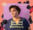 Blackbird Blackbird Blackberry