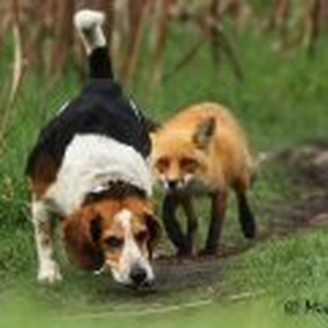 Foto de perfil de Daniel Salles