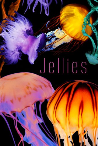 Poster 2 de Filme Jellies (2013)