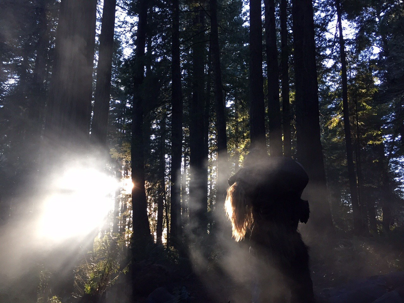 Foto 6 de Primal Rage