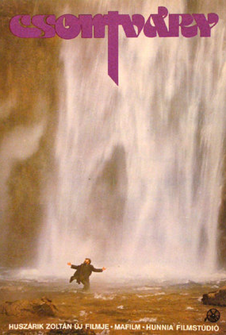 Poster 1 de Filme Csontváry (1980)