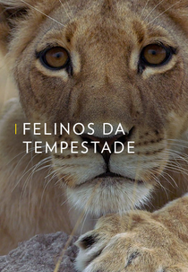 Felinos da Tempestade (Felinos da Tempestade)