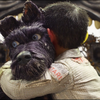 Resenha: Ilha dos Cachorros (2018)