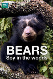 Bears: Spy in the Woods - Poster / Capa / Cartaz - Oficial 1