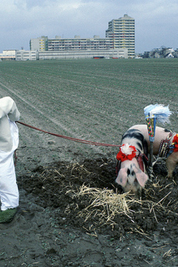 Poster de Curta  	Usinimage (1987)