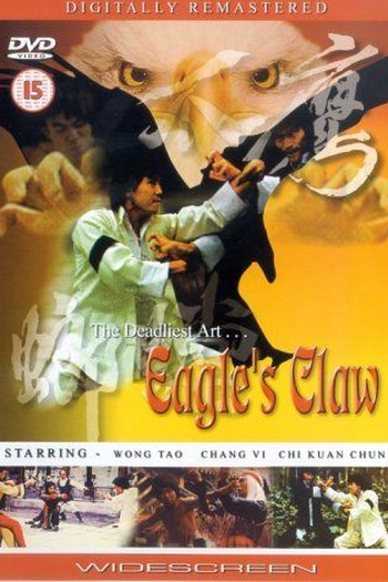 Poster de Filme Fúria de Águia (1997)