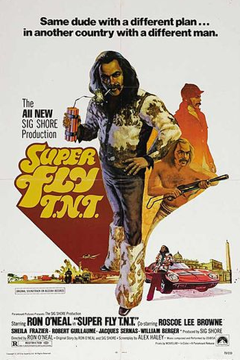 Poster de Filme Super Fly T.N.T. (1973)