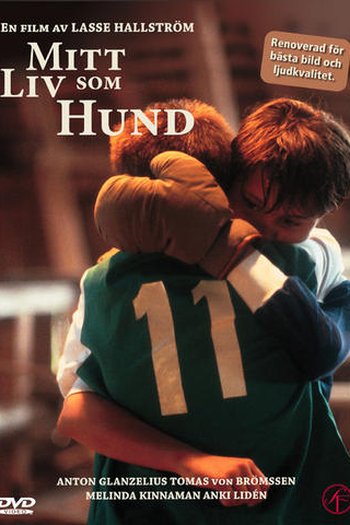  de Filme Minha Vida de Cachorro (1985)