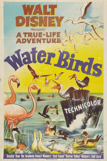  de Curta Water Birds (1952)