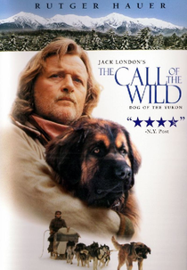 O Selvagem (The Call of the Wild: Dog of the Yukon)