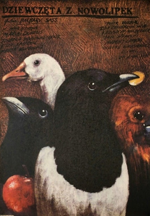 The Girls of Nowolipki (Dziewczeta z Nowolipek)