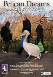 Pelican Dreams (Pelican Dreams)