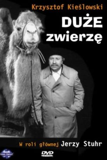  de Filme O Grande Animal (2000)