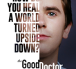 The Good Doctor: O Bom Doutor (4ª Temporada)