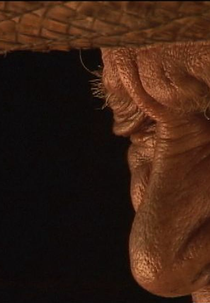 Nada com Ninguém (Nada com Ninguém)