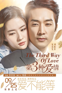 The Third Way of Love - Poster / Capa / Cartaz - Oficial 1