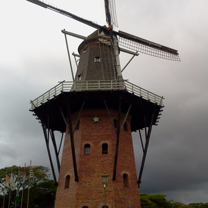 Foto de perfil de ladyca