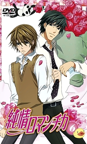 Junjou Romantica (1ª Temporada) - 11 de Abril de 2008 | Filmow