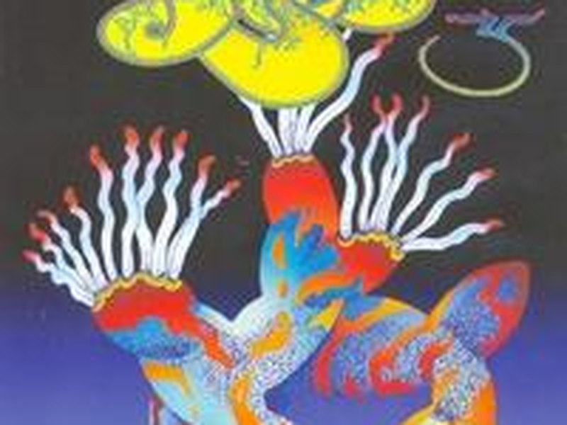 Foto 1 de Songs from Tsongas