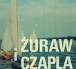 Zuraw i czapla