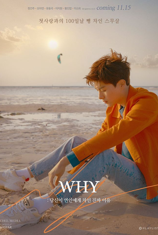 Poster 2 de Série WHY (2018)