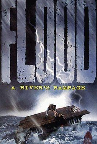 Poster 2 de Filme Dilúvio: A Ira de um Rio (1998)
