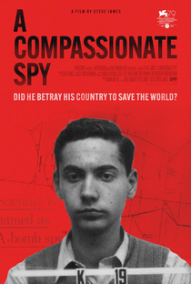 Um Espião Compassivo - Poster / Capa / Cartaz - Oficial 2