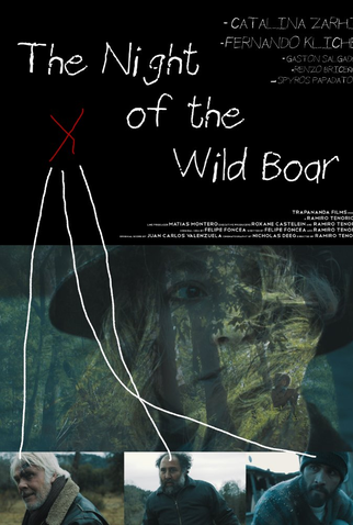 Poster 1 de Filme A Noite do Javali (2017)