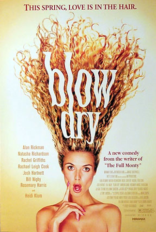 Poster 1 de Filme De Cabelos em Pé (2001)