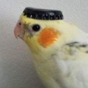 Foto de perfil de Lucas