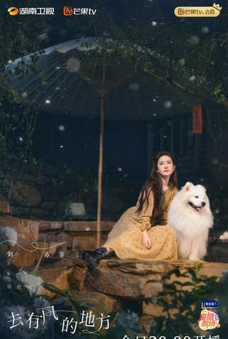 Poster 4 de Série Meet Yourself (2023)