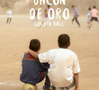 A Bola de ouro