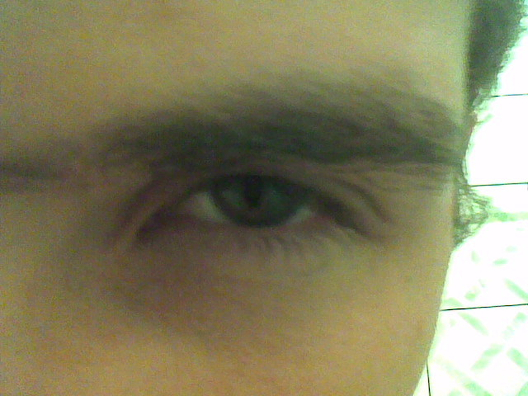 gostozao - Foto 3