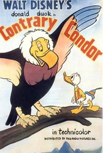 Contrary Condor - Poster / Capa / Cartaz - Oficial 1