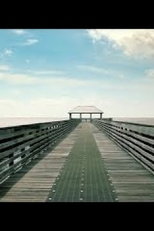 The American Fall (The American Fall)