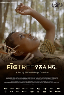 Fig Tree - Poster / Capa / Cartaz - Oficial 1