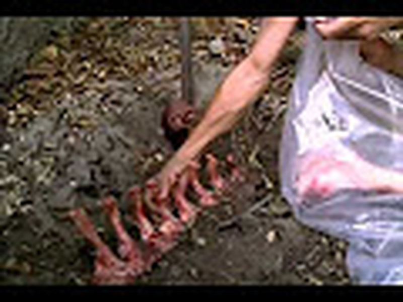 Foto 1 de Antes/Depois