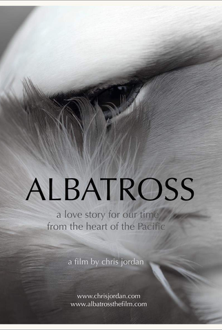 Poster 1 de Filme Albatross (2017)