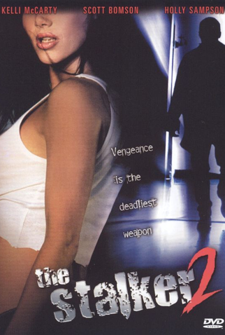 Poster 2 de Filme Desire & Deception (2001)