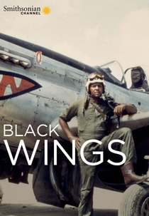 Ases Negros (Black Wings)