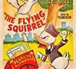 The Flying Squirrel