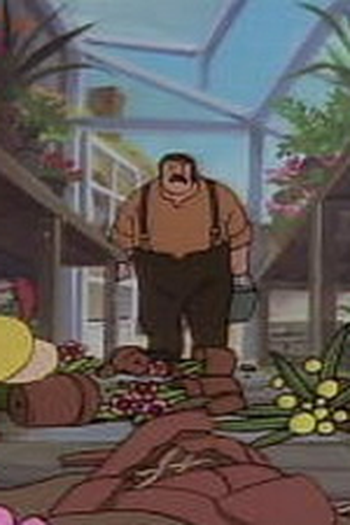 Poster de Episódio 美しい虹 (1978)