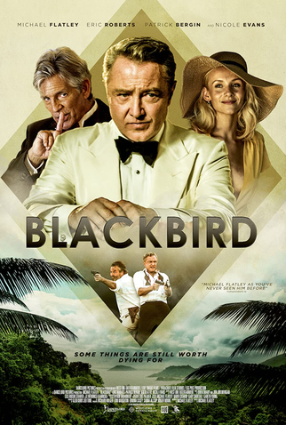 Poster 2 de Filme Blackbird (2022)